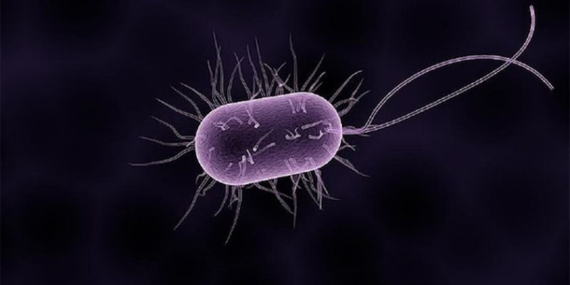 Mikropları Yok Ediyor